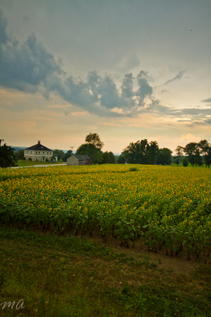 Enlarge photo 64