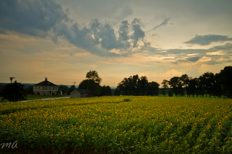 Enlarge photo 65