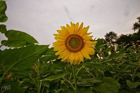 Enlarge photo 119