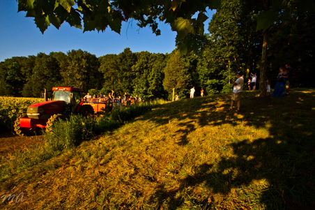 Enlarge photo 7