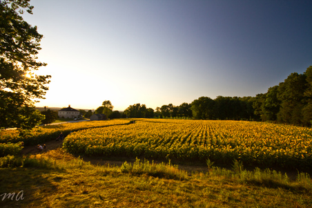 Enlarge photo 18