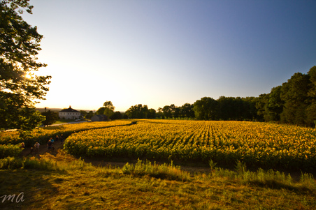 Enlarge photo 19