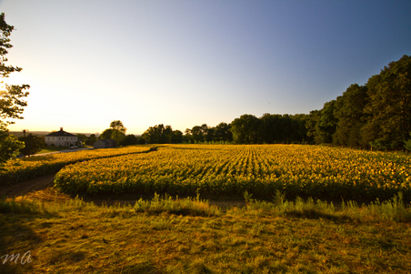 Enlarge photo 20