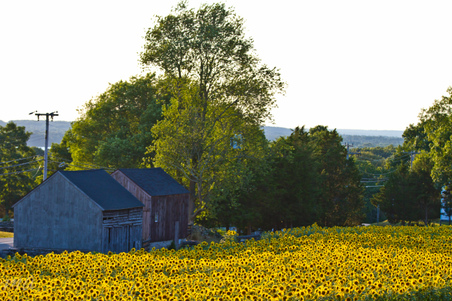 Enlarge photo 26