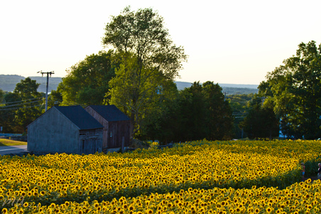 Enlarge photo 33