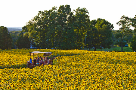 Enlarge photo 40