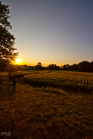 Enlarge photo 60