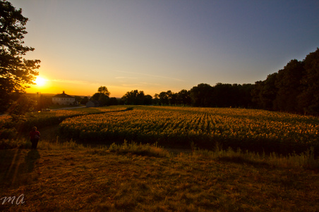Enlarge photo 61