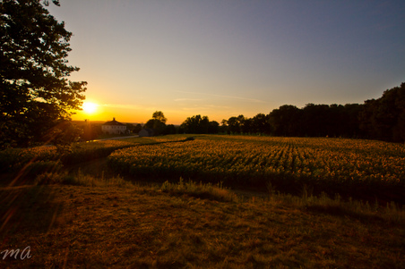 Enlarge photo 62