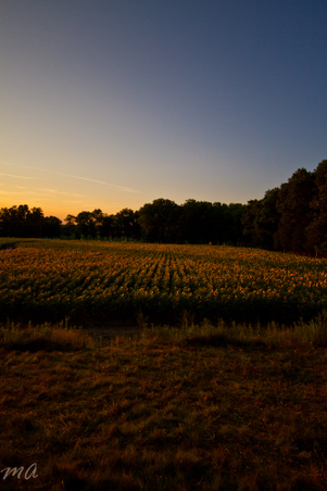 Enlarge photo 64