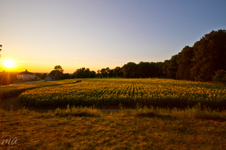 Enlarge photo 65