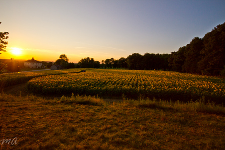 Enlarge photo 66