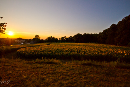 Enlarge photo 67