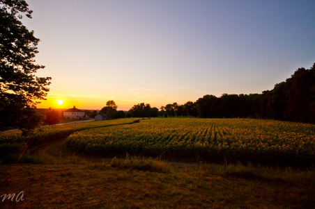 Enlarge photo 77