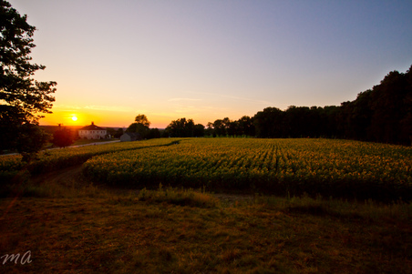 Enlarge photo 78