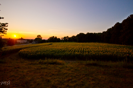 Enlarge photo 79