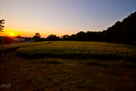 Enlarge photo 80