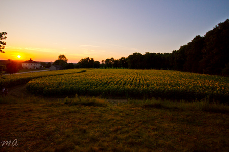 Enlarge photo 81