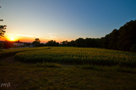 Enlarge photo 83