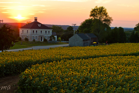 Enlarge photo 88