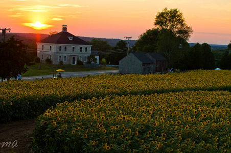 Enlarge photo 91