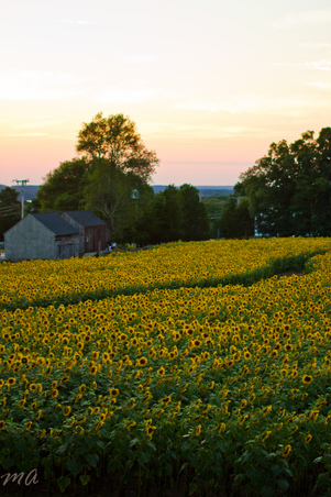 Enlarge photo 94