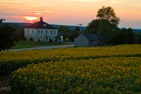 Enlarge photo 113