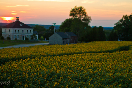 Enlarge photo 115