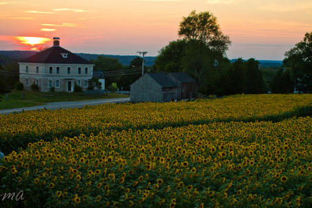 Enlarge photo 116