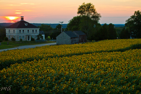 Enlarge photo 117
