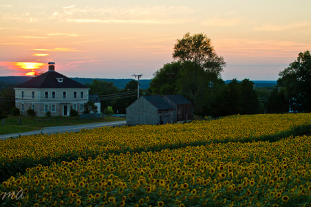 Enlarge photo 119