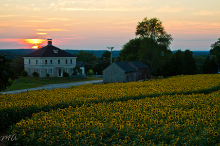 Enlarge photo 121