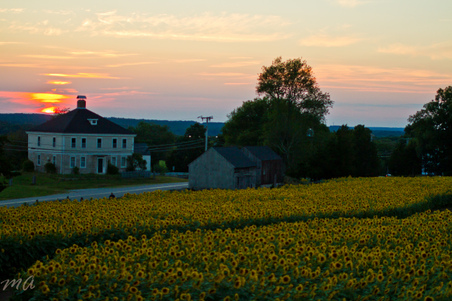 Enlarge photo 123