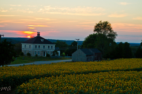 Enlarge photo 124