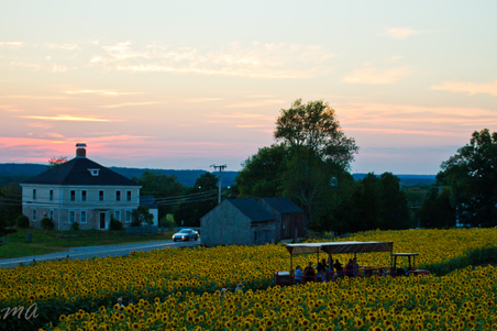 Enlarge photo 129
