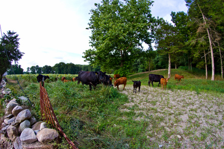 Enlarge photo 38
