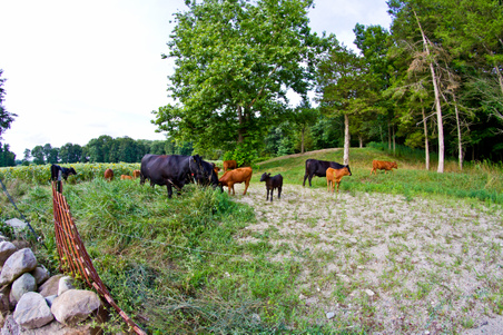 Enlarge photo 39