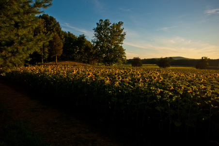 Enlarge photo 38