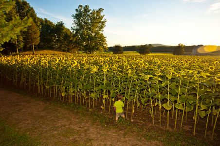 Enlarge photo 39
