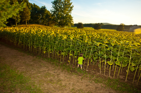 Enlarge photo 40