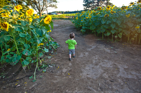 Enlarge photo 108