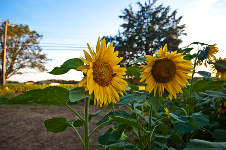 Enlarge photo 118
