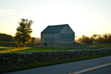 Enlarge photo 121