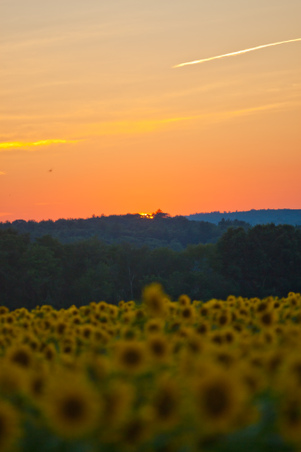 Enlarge photo 180