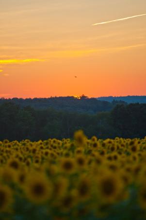 Enlarge photo 182