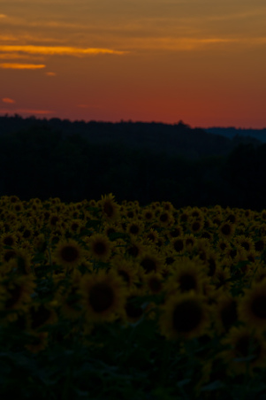 Enlarge photo 188