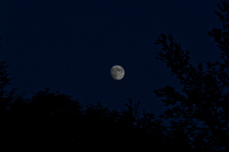 Enlarge photo 196