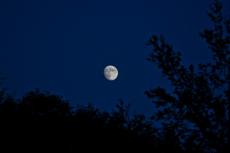 Enlarge photo 197