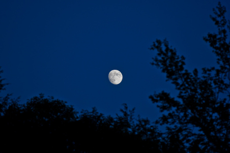 Enlarge photo 198