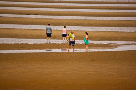 Enlarge photo 62